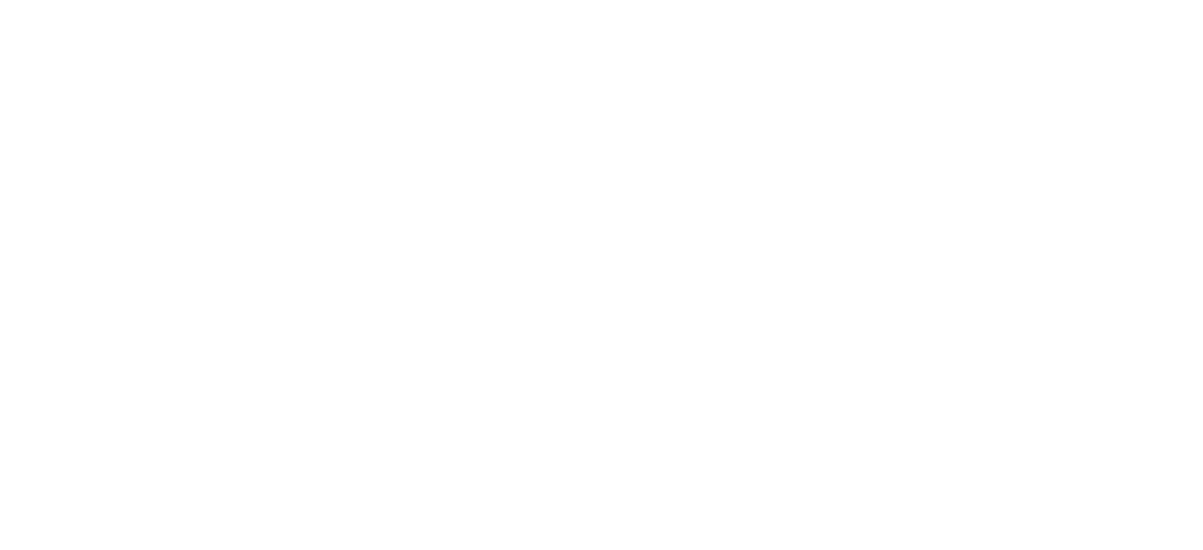 Seg3