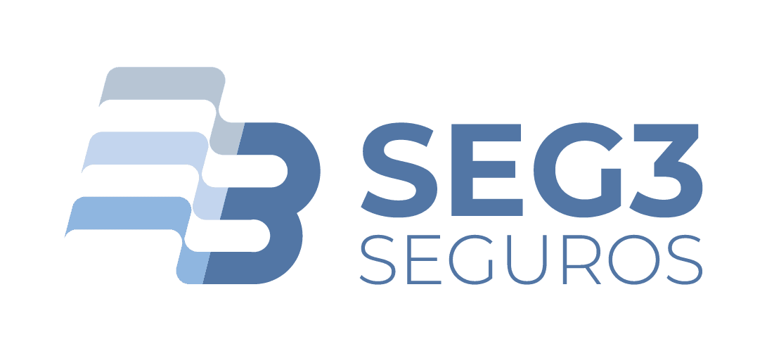 Seg3