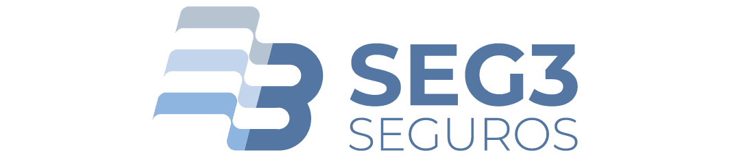 Seg3